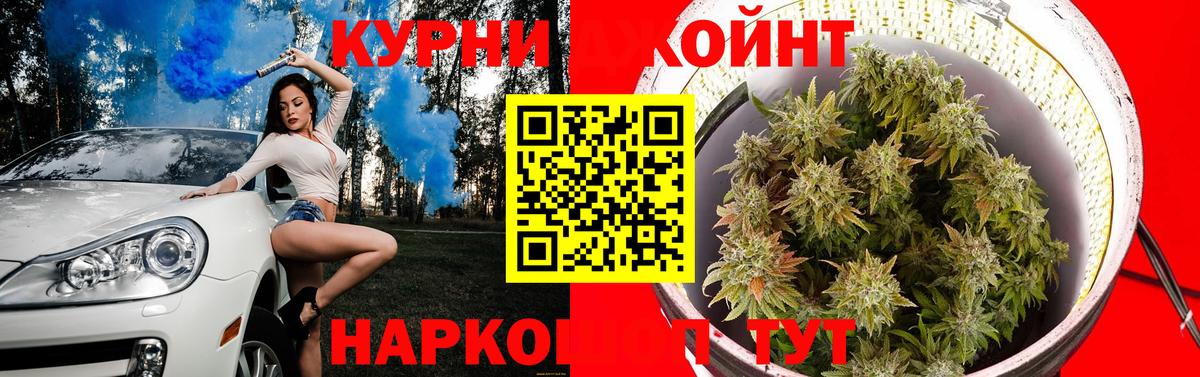 Галлюциногенные грибы Вязьма